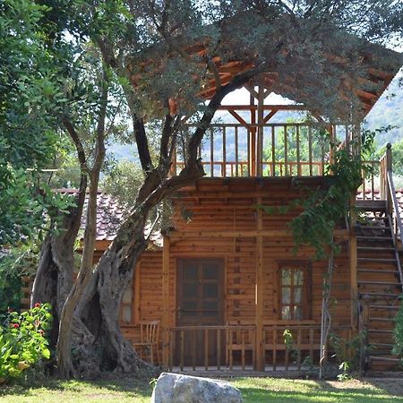 Hotel Kizilbuk Ahsap Evleri Datça Habitación foto