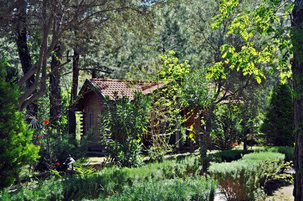 Hotel Kizilbuk Ahsap Evleri Datça Habitación foto